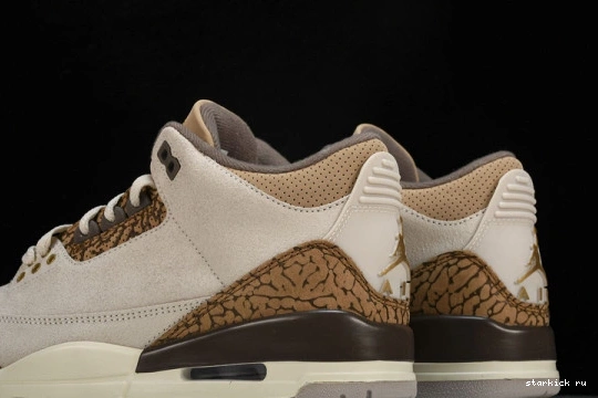 Retro Jordan  3  CT8532-102 Palomino CT8532-102 0925